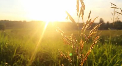 Darmsanierungen und Fastenkuren