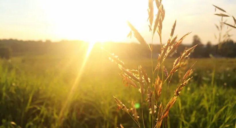 Darmsanierungen und Fastenkuren - Dr. Paul Fink - Praktischer Arzt Neuhaus am Klausenbach  8385