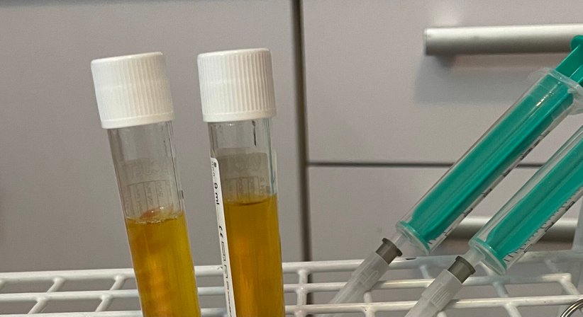 Sportmedizin, Eigenblut-Therapien - Dr. Paul Fink - Praktischer Arzt Neuhaus am Klausenbach  8385