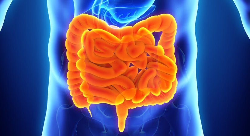 Minimalinvasive Kolorektalchirurgie - Prim. Dr. Johannes K. Stopfer, FEBS - Allgemeinchirurg Wien 1180