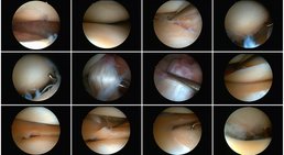 OA Dr. Thomas Kolp - Orthopäde Korneuburg 2100