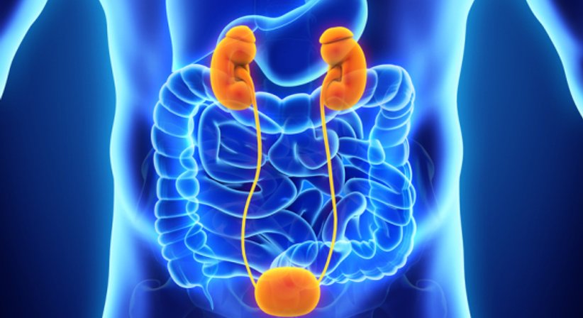 Katheterwechsel - Dr. Markus Riedl, F.E.B.U - Urologe Wien 1050