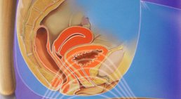 OA. Dr. Mons Fischer, F.E.B.U. - Urologe Wien 1220