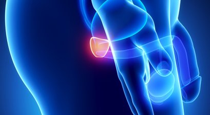 Vorsorgeuntersuchung (Prostatavorsorge)