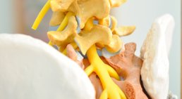OA Dr. Ralph Schmid - Orthopäde Wiener Neustadt 2700