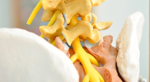 OA Dr. Ralph Schmid - Orthopäde Wiener Neustadt 2700