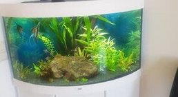 Dr. Monika Matal - Frauenärztin Wien 1130