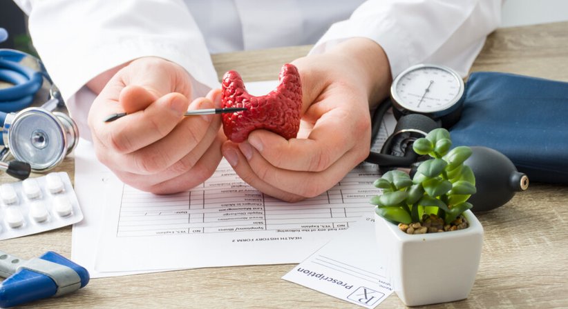 Erkrankungen der Schilddrüse – Diagnostik und Therapie - Dr. Mark Schneider - Internist Wien 1040