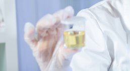 Harndiagnostik -