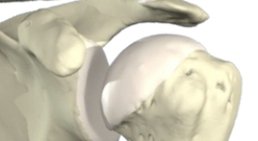 Dr. Richard Malousek - Orthopäde Wien 1010