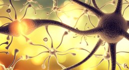 Neurologie -