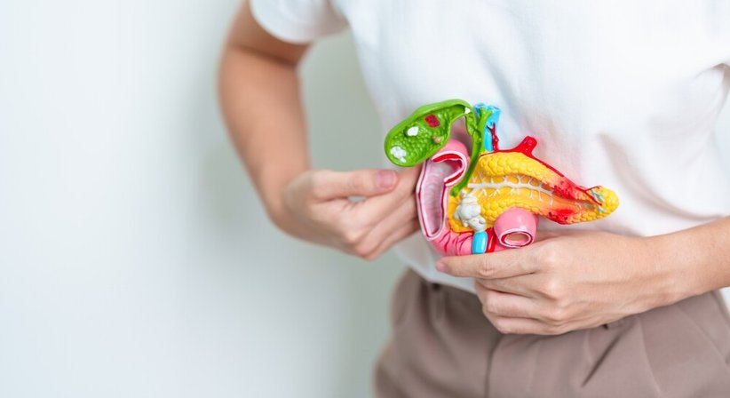 Pankreas - Dr. Anna Pribasnig - Gastroenterologin u. Hepatologin Wien 1180