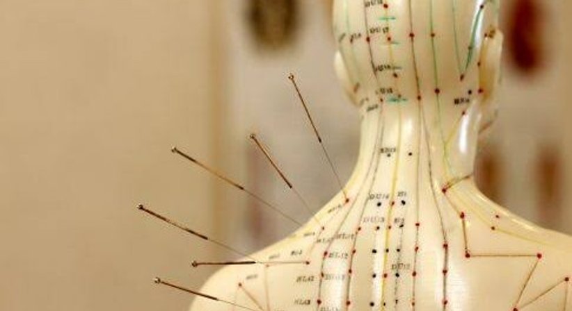  Ergänzende Therapieverfahren bei Dr. med. Viktoria Reiter