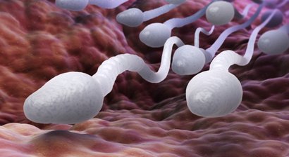 Abklärung und Diagnose