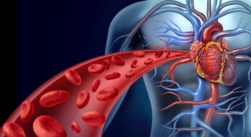 Angiologie - OÄ Dr. med. univ. Marion Ljuba - Kardiologin Klagenfurt 9020