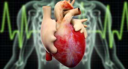 Herzuntersuchung/Herzdiagnostik