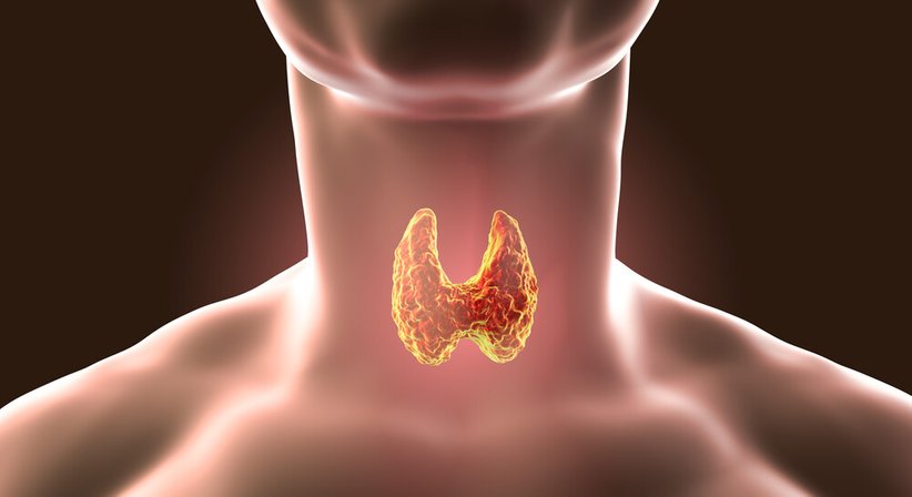 Schilddrüsenuntersuchung - OÄ Dr. med. univ. Marion Ljuba - Kardiologin Klagenfurt 9020