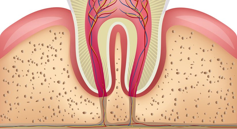 Wurzelbehandlungen - Dr. Günther Schuster - Zahnarzt Wien 1140