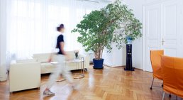 Praxis - Prof.Dr. Michael Rogy - Allgemeinchirurg Wien 1020