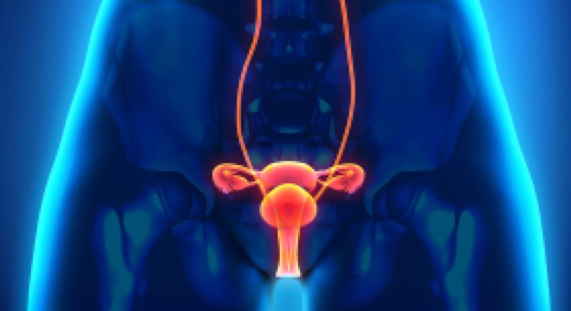 Ovarialzysten - Univ.Doz. Dr. Michael Medl - Frauenarzt Wien 1190