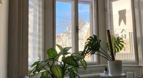 DDr. Wolfgang Seemann - Zahnarzt Wien 1150