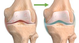 Prof. Priv.-Doz. Dr. Wenzel Waldstein-Wartenberg - Orthopäde 1090 Wien