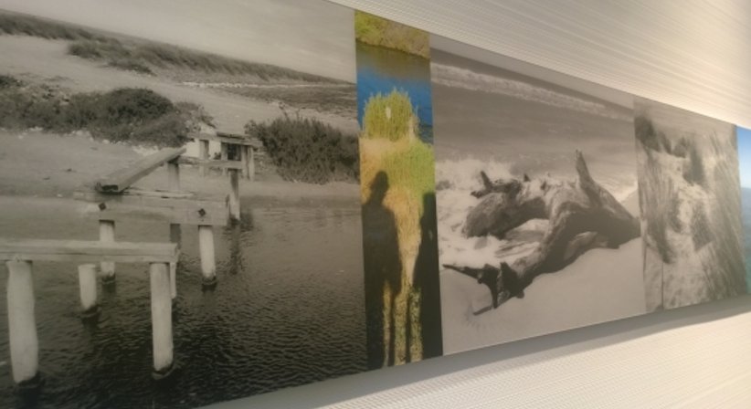 Refraktiver Linsentauschauch - Dr. Matthias Maus - Augenarzt Wien 1010