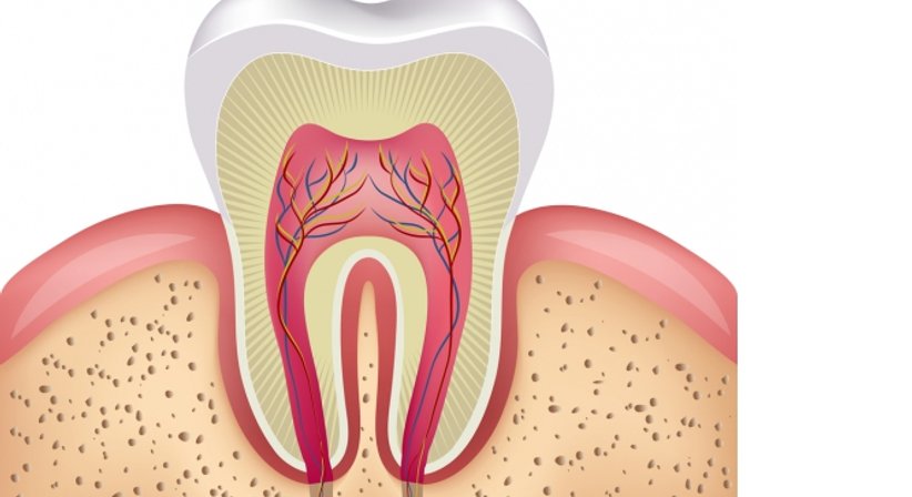 Wurzelspitzenresektion - Dr. Reza Homayuni - Zahnarzt Wien 1010