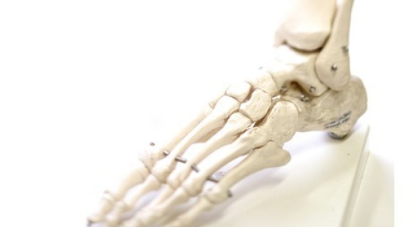 Fußchirurgie - OA Dr. Delio Peter Pramhas - Orthopäde Wien 1060