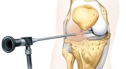 OA Dr. Delio Peter Pramhas - Orthopäde Wien 1060