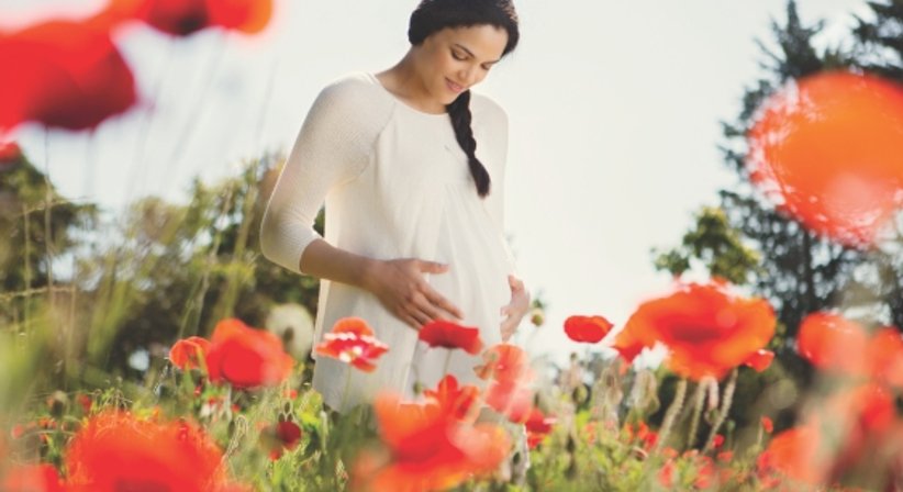 Gynäkologische Vorsorgeuntersuchungen - Dr. Thomas Douschan - Frauenarzt Wien 1020