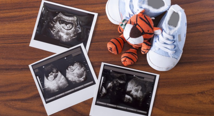 Organscreening - Dr. Thomas Douschan - Frauenarzt Wien 1020