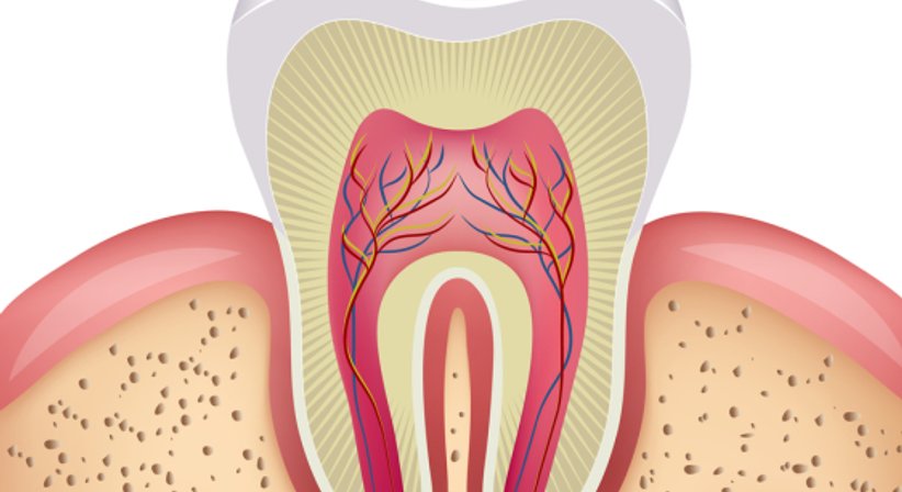 Wurzelbehandlung - Dr. Thomas Cede - Zahnarzt Wien 1010