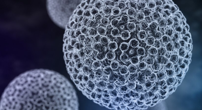 HPV - Dr. Andrea Simic - Frauenärztin Wien 1020