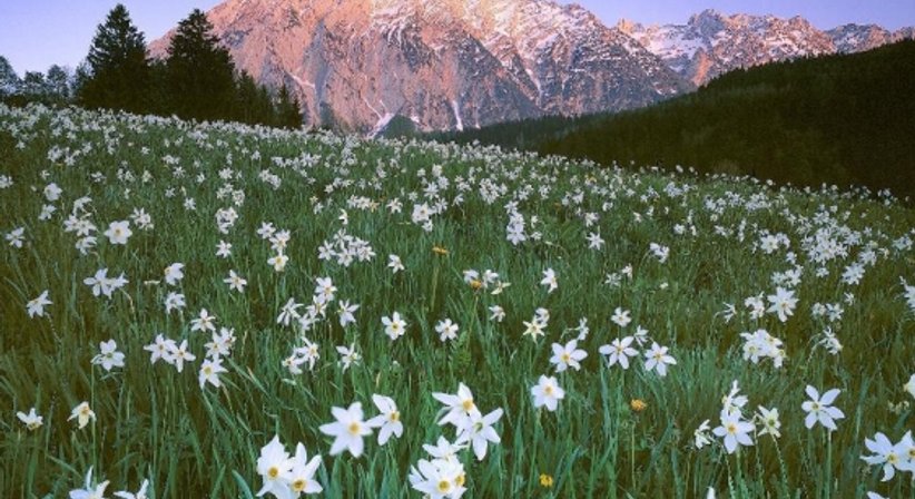 Berg- und Höhenmedizin, Alpinmedizin, Bergsport, Skibergsteigen - Dr. Alexander Zembsch - Orthopäde Wien 1130