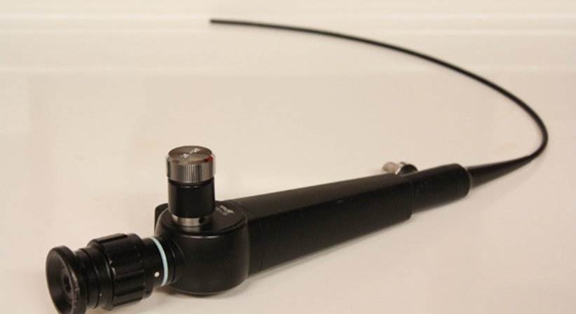 Endoskopie und Panendoskopie - Assoc.Prof. Priv.Doz. Dr. Claudia Lill - HNO-Ärztin Wien 1180