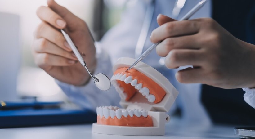 Mundhygiene - Dr. Sabine Nahler - Zahnärztin Wien 1010