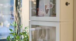 Dr. med. univ. Elisabeth Schwabegger - Plastische Chirurgin Innsbruck 6020