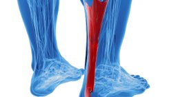 OA Dr. Michel Chraim - Orthopäde Wien 1080