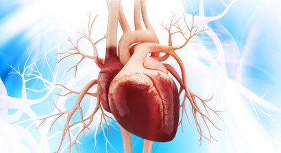 digitale Photoplethysmographie (PPG)