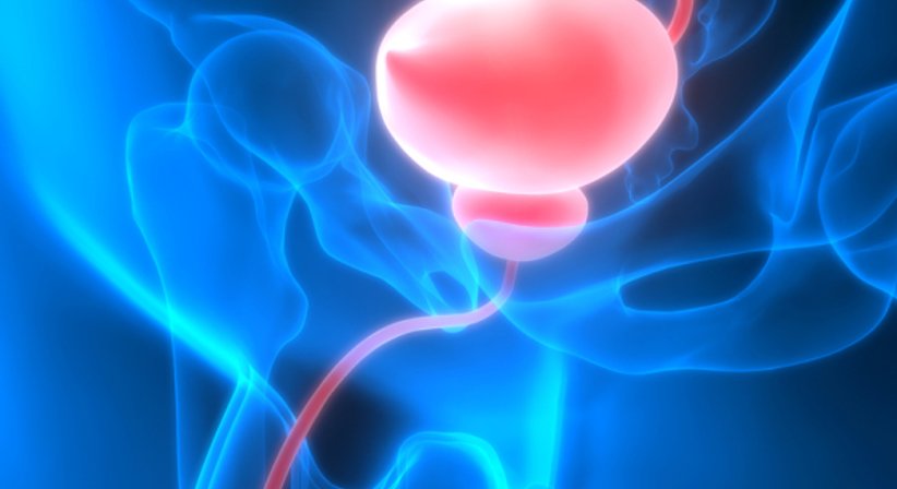 Urologische Infektionen - Priv.Doz. Dr. Matthias Johannes Waldert, F.E.B.U. - Urologe Wien 1050