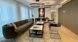 Praxis - Univ.-Prof. Dr. Hugo Benito Kitzinger - Plastischer Chirurg Wien 1190