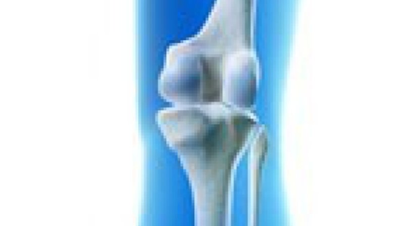 Knieprothese - OA Dr. Lukas Karamat - Orthopäde Wien 1030