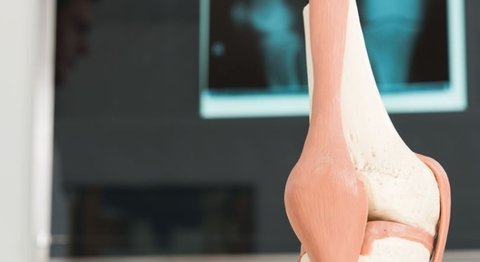 OA Dr. Lukas Karamat - Orthopäde Wien 1030