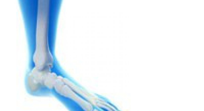 Sprunggelenk - OA Dr. Lukas Karamat - Orthopäde Wien 1030