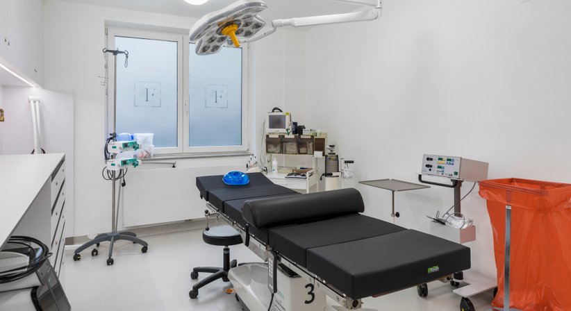 Priv. Doz. Dr. Alexandra Sibylle Fochtmann-Frana - Plastische Chirurgin Wien 1050