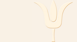 Praxis - OA Dr. Norbert Fock - Kieferchirurg Wien 1010