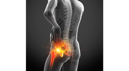 OA Dr. Lukas Hold - Orthopäde Perchtoldsdorf 2380