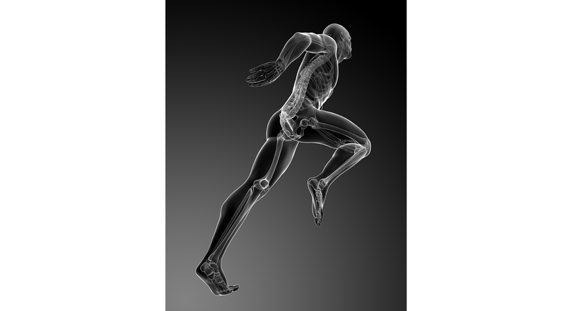 Sportverletzungen - OA Dr. Lukas Hold - Orthopäde Perchtoldsdorf 2380