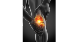 OA Dr. Lukas Hold - Orthopäde Perchtoldsdorf 2380